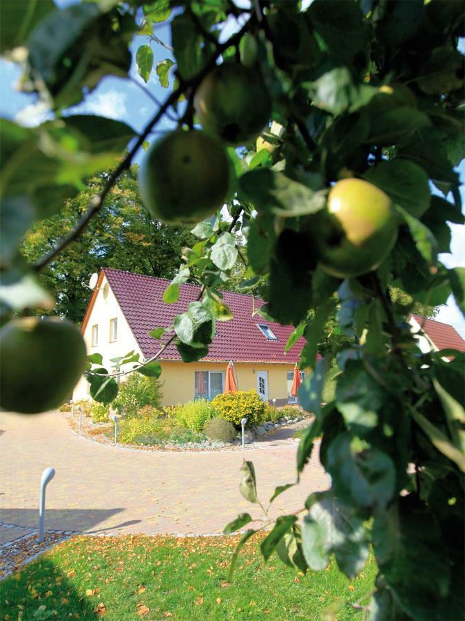 Scholzke'S Ferienhaus Leilighet Ralswiek Eksteriør bilde